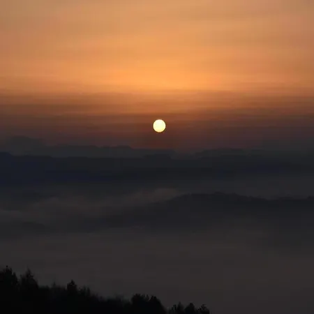 Pet-friendly Nyaraló *