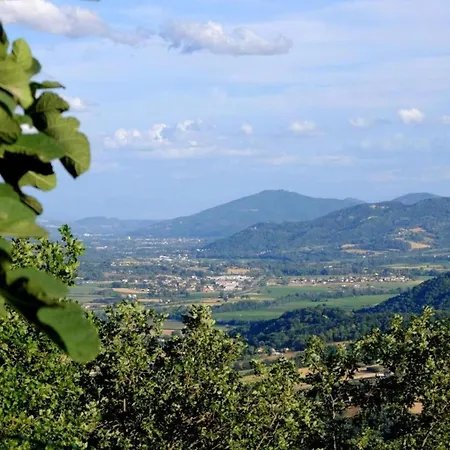 Pet-friendly San Secondo