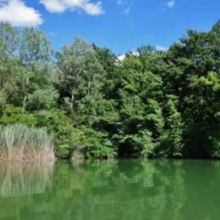 Сasa de vacaciones Pet-friendly San Secondo